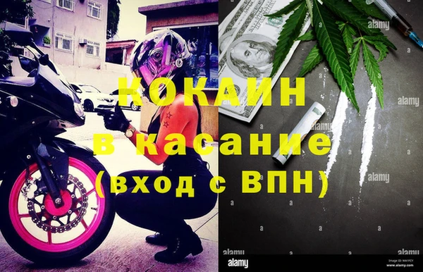 гашик Арсеньев