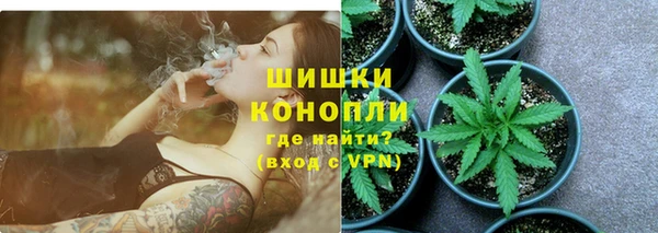 бошки Аркадак
